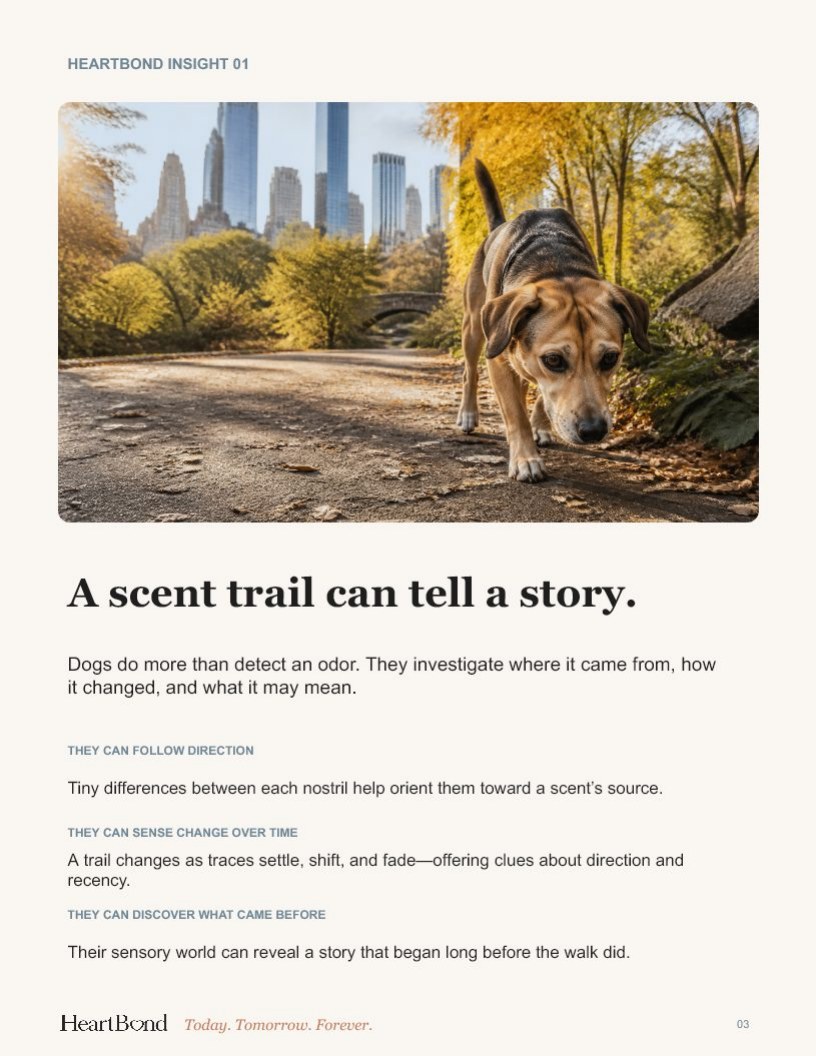 The Sniffari activity page