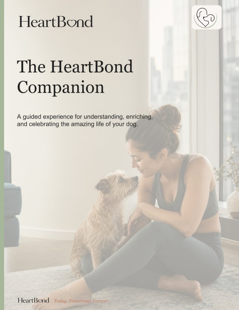 The HeartBond Companion cover